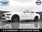 2019 Mustang Thumbnail 20