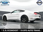 2019 Mustang Thumbnail 21