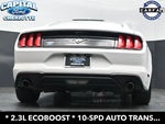 2019 Mustang Thumbnail 22