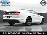 2019 Mustang Thumbnail 23