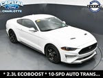 2019 Mustang Thumbnail 25