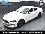 2019 Mustang Thumbnail 26