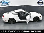 2019 Mustang Thumbnail 29