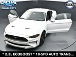 2019 Mustang Thumbnail 34