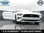 2019 Mustang Thumbnail 35