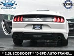 2019 Mustang Thumbnail 36