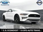 2019 Mustang Thumbnail 17
