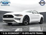 2019 Mustang Thumbnail 19