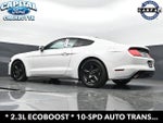 2019 Mustang Thumbnail 21