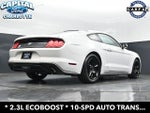 2019 Mustang Thumbnail 23