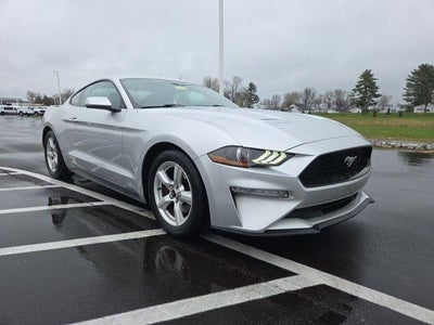 2019 Ford Mustang Ecoboost 2DR Fastback