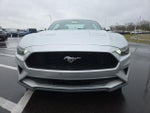 2019 Mustang Thumbnail 3