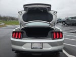 2019 Mustang Thumbnail 10