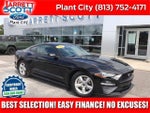2019 Mustang Thumbnail 1