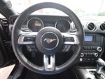 2019 Mustang Thumbnail 17