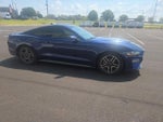 2020 Mustang Thumbnail 18