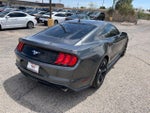 2020 Mustang Thumbnail 8