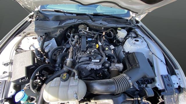 2022 Ford Mustang EcoBoost