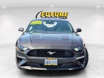 2022 Mustang Thumbnail 4