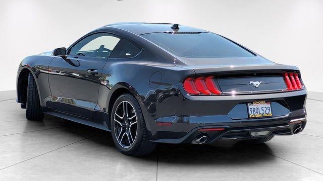 2022 Ford Mustang EcoBoost