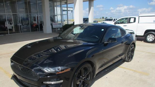 2023 Ford Mustang EcoBoost