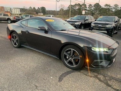 2024 Ford Mustang Ecoboost Premium 2DR Fastback