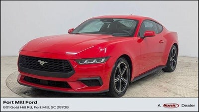 2024 Ford Mustang Ecoboost 2DR Fastback