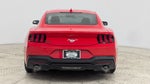 2024 Mustang Thumbnail 8