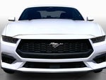 2024 Mustang Thumbnail 4