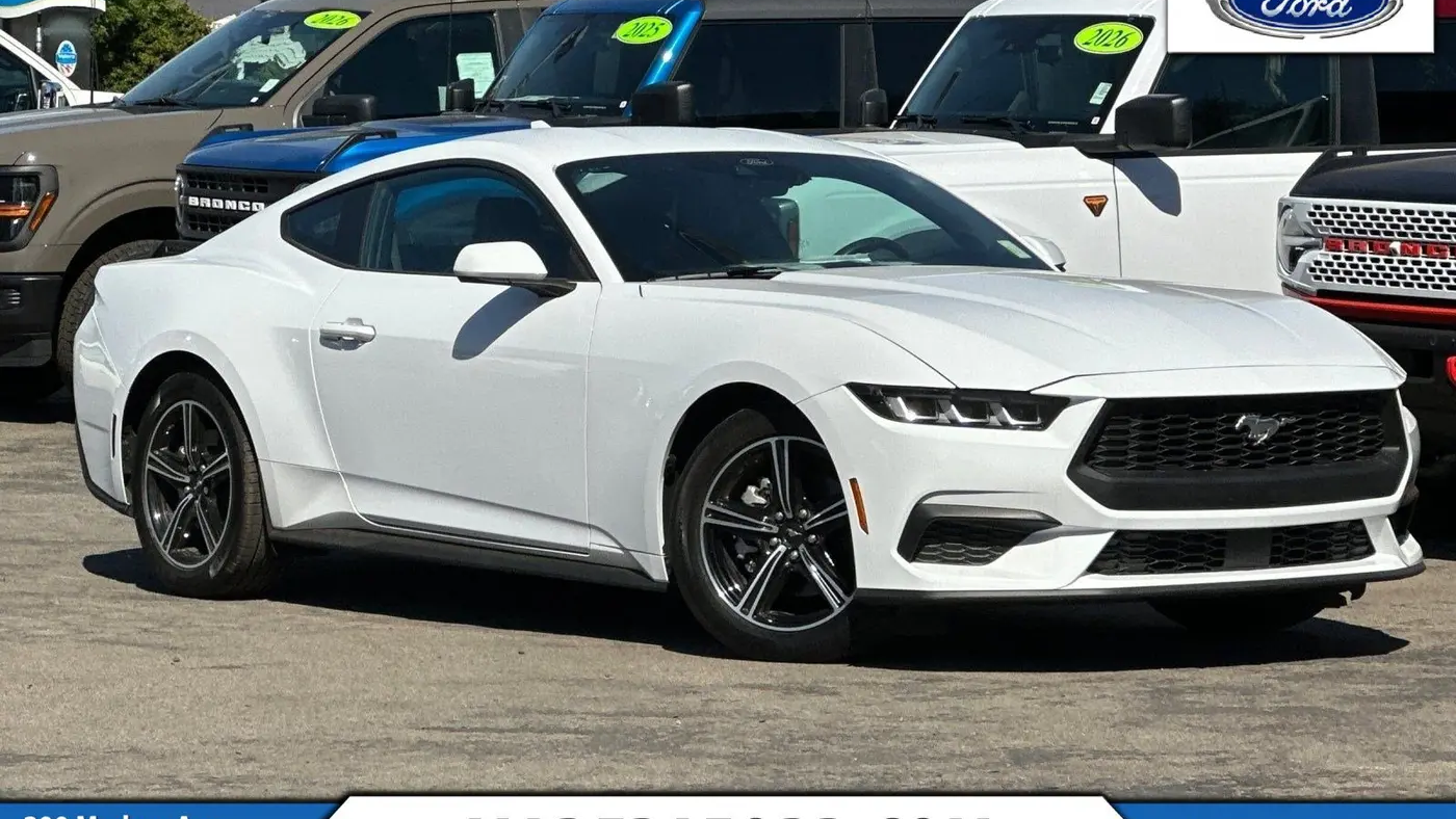 Preowned 2024 Ford Mustang EcoBoost for Sale