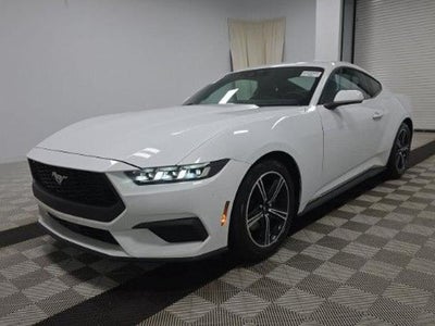 2024 Ford Mustang Ecoboost Premium 2DR Fastback