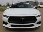 2024 Mustang Thumbnail 2