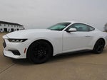 2024 Mustang Thumbnail 19