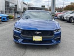 2024 Mustang Thumbnail 2