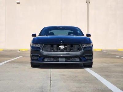 2024 Ford Mustang Ecoboost 2DR Fastback