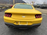 2024 Mustang Thumbnail 5