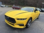 2024 Mustang Thumbnail 10