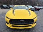 2024 Mustang Thumbnail 11