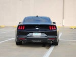 2026 Mustang Thumbnail 6