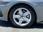 2026 Mustang Thumbnail 24