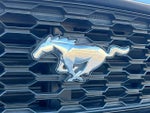 2017 Mustang Thumbnail 12