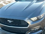 2017 Mustang Thumbnail 11