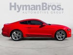 2019 Mustang Thumbnail 2
