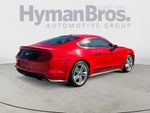 2019 Mustang Thumbnail 3
