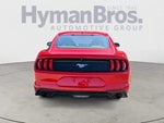 2019 Mustang Thumbnail 4