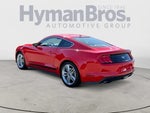 2019 Mustang Thumbnail 5