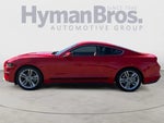 2019 Mustang Thumbnail 6