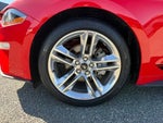 2019 Mustang Thumbnail 9