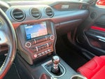 2019 Mustang Thumbnail 12