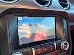 2019 Mustang Thumbnail 15